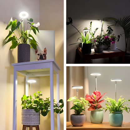 Lumelia™ - Lampe Horticole LED