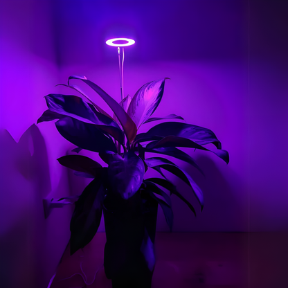 Lumelia™ - Lampe Horticole LED