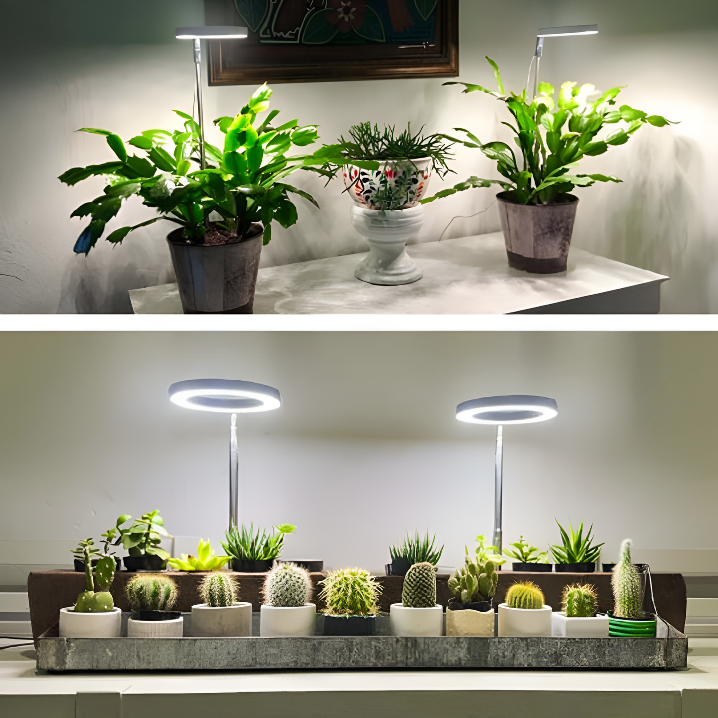 Lumelia™ - Lampe Horticole LED