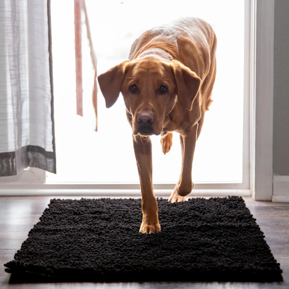 MuckyMat™ - Tapis Absorbant Pour Chiens Antidérapant & Lavable
