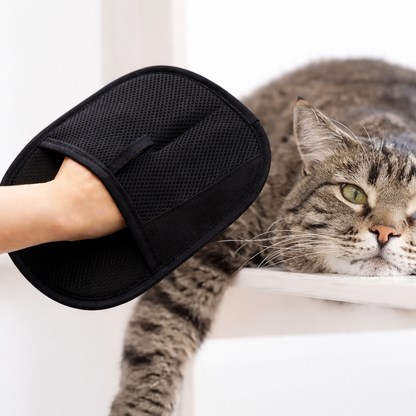 PetBuddy™ - Gants anti-poils réutilisable