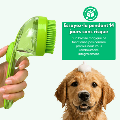 PupSoft™ - Brosse à Eau et Shampoing pour Chien
