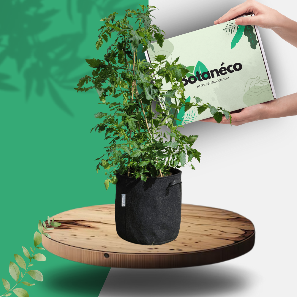 EcoPot™ - Pot de plantation en textile respirant