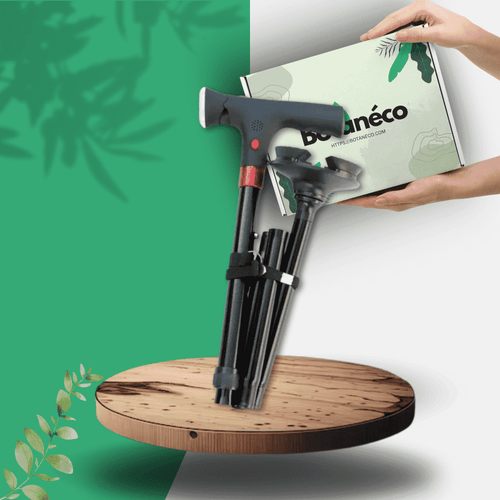 StepSecure™ - Canne ergonomique innovante